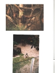 Allwetterzoo Münster