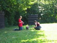 2006 CBF-Dogs