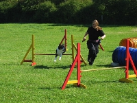 2006 CBF-Dogs