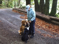 2006 CBF-Dogs