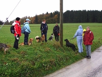 2006 CBF-Dogs