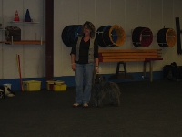 2007 CBF-Dogs
