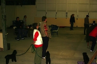 2008 CBF-Dogs