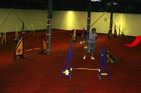 2008 CBF-Dogs