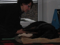 2008 CBF-Dogs