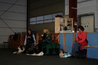 2008 CBF-Dogs
