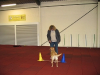 2009 CBF-Dogs
