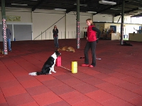 2009 CBF-Dogs