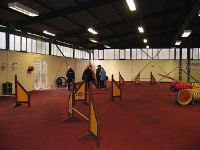 2009 CBF-Dogs