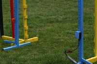 2010 CBF-Dogs