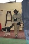 2010 CBF-Dogs