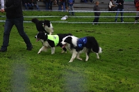 2010 CBF-Dogs