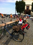 2011 CBF-Dogs