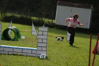 2011 CBF-Dogs
