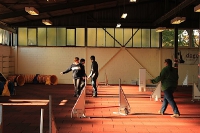2011 CBF-Dogs